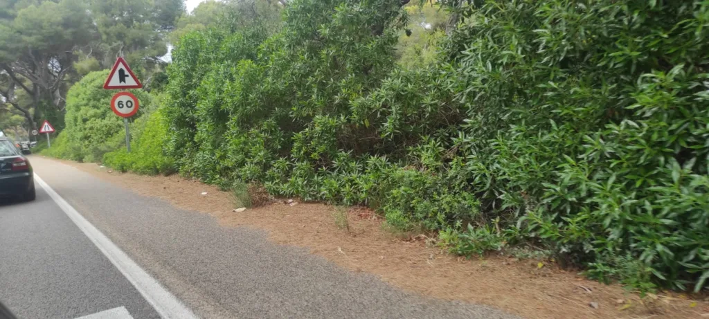 falta de limpieza carretera El saler