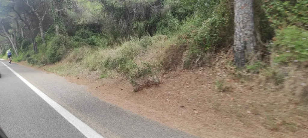 suciedad carretera El Saler