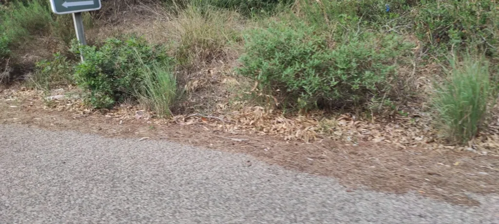 problemas suciedad carretera el Saler