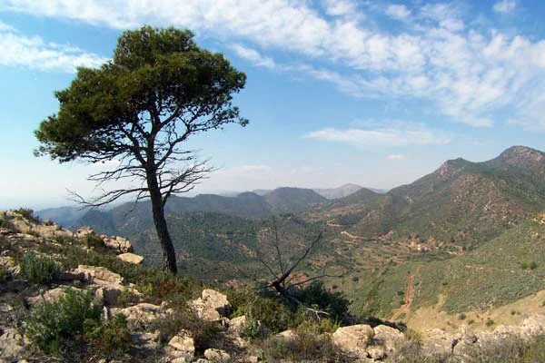 La Generalitat saca a información pública el programa de paisaje en suelos de Puçol, Sagunt y Gilet, incluidos en el 'Portal de la Calderona'