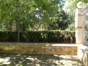 Jardin de Ayora 03 07 23 2