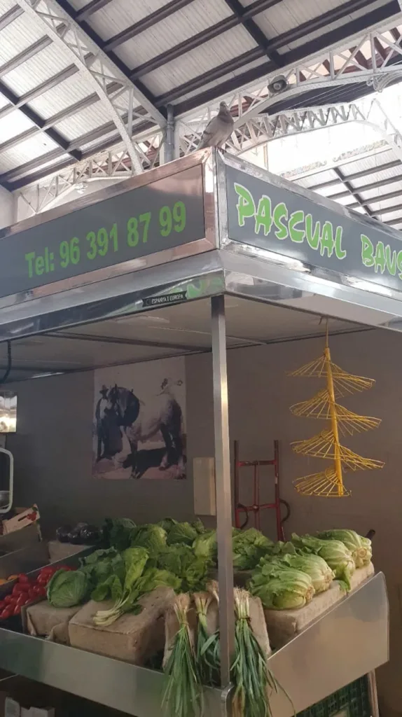 WhatsApp Image 2023 06 30 at 14.12.041 jpeg e1688453624278