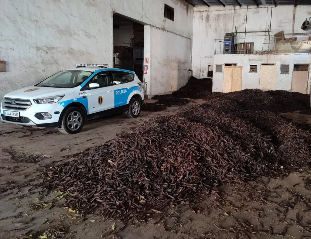 La Policía de la Generalitat detiene a cuatro personas e investiga a otra por apropiación indebida de más de 55.000 kilos de algarroba