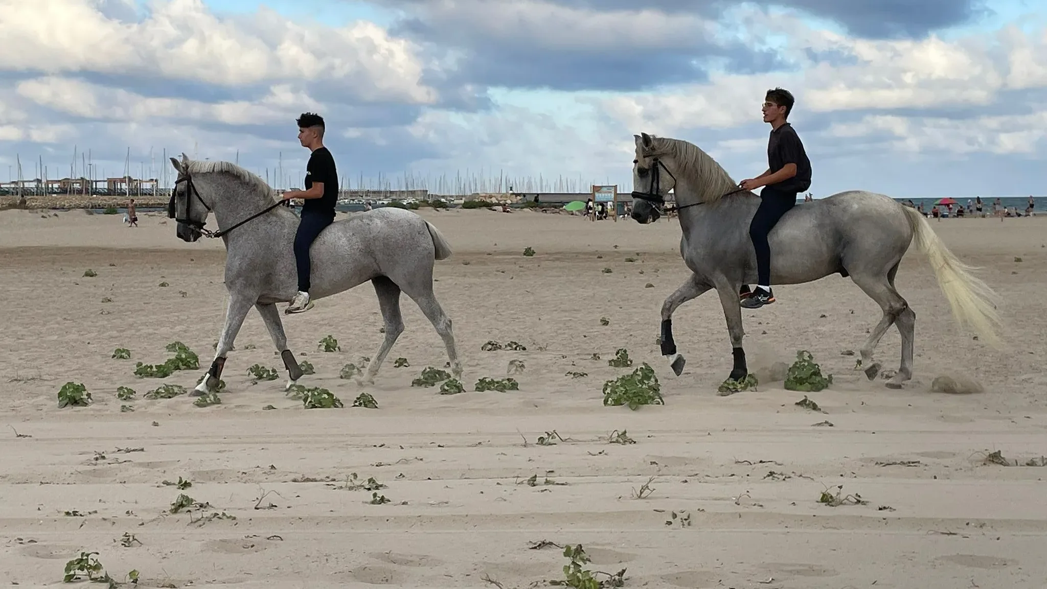 Les Corregudes de Joyes calientan motores para los días grandes 1 Les corregudes de joyes calientan motores para los días grandes