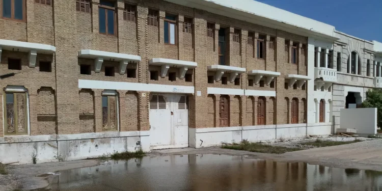 El Síndic cuestiona la respuesta del Ayunmiento sobre los Docks y reclama una resolución motivada sobre su protección 1 El Síndic cuestiona la respuesta del Ayunmiento sobre los Docks y reclama una resolución motivada sobre su protección