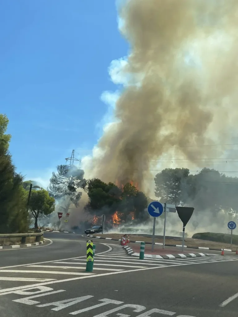 Incendio Forestal en la Plaja de la Garrofera en El Saler a minutos de que pase la Vuelta Ciclista a España