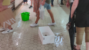 Goteras y filtraciones en el Mercado Central de Valencia