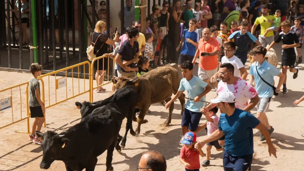 Piden la cancelación de la "Entrada de trashumancia" en Onda, encierro taurino infantil que los animalistas aseguran "se hace pasar por actividad ganadera"