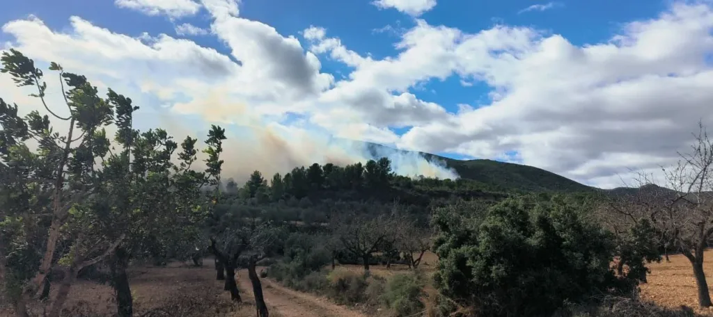 Se confirma un nuevo incendio forestal en Chiva