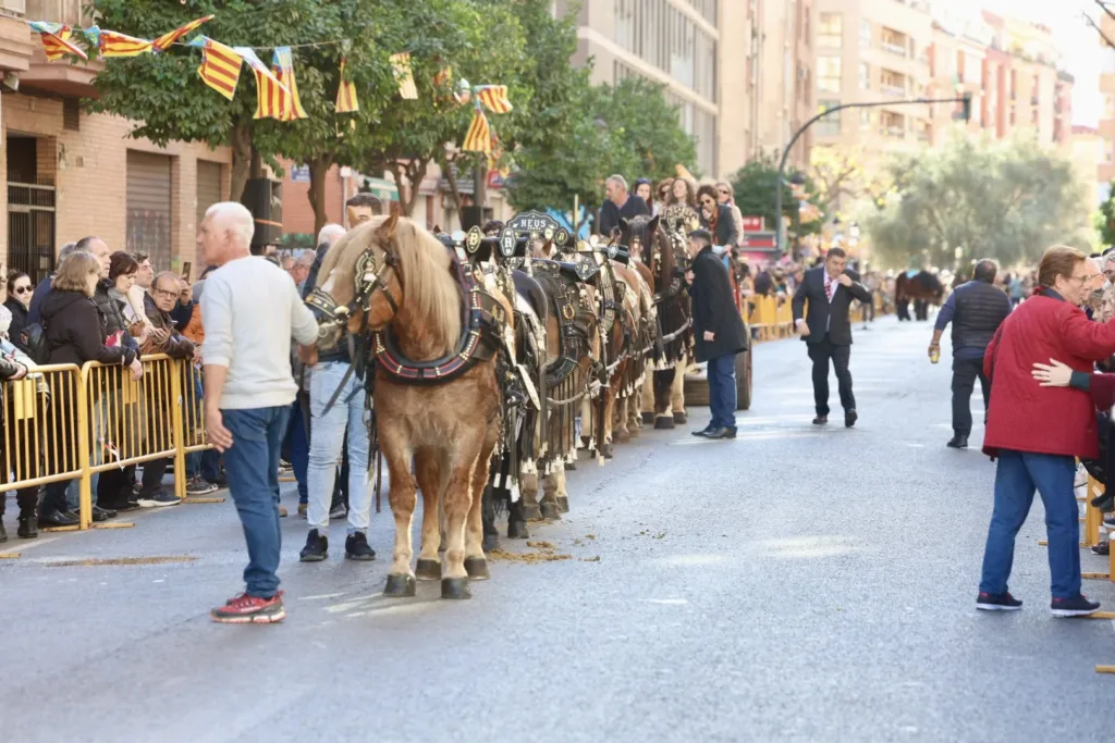 Un año más Valencia celebró "Sant Antoni del Porquet" con la bendición de animales en la calle Sagunto