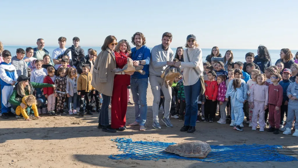 La Malvarrosa vive la suelta de dos tortugas recuperadas en la Fundación del oceanogràfic