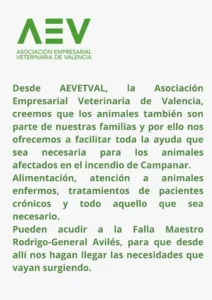 ATEVAL incendio valencia