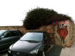 Los vecinos de Orriols rechazan el macroparking junto a San Miguel de Los Reyes y quieren un macrojardín Los vecinos de Orriols rechazan el macroparking junto a San Miguel de Los Reyes y quieren un macrojardín