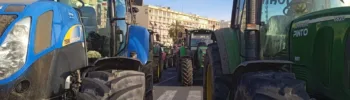Frutas y verduras de Marruecos que se distribuyen en supermercados europeos con restos químicos perjudiciales para la salud
