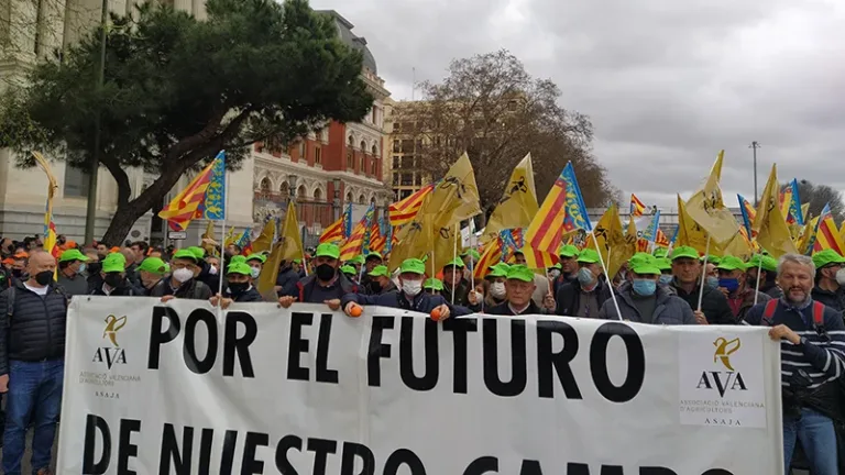 Los agricultores valencianos de AVA irán el lunes a la manifestación de Madrid a exigir soluciones para el sector