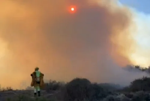 Los vecinos desalojados en el Incendio Forestal del Saler aún no pueden volver a sus casas