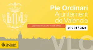 imagen pleno extraordinario incendio valencia