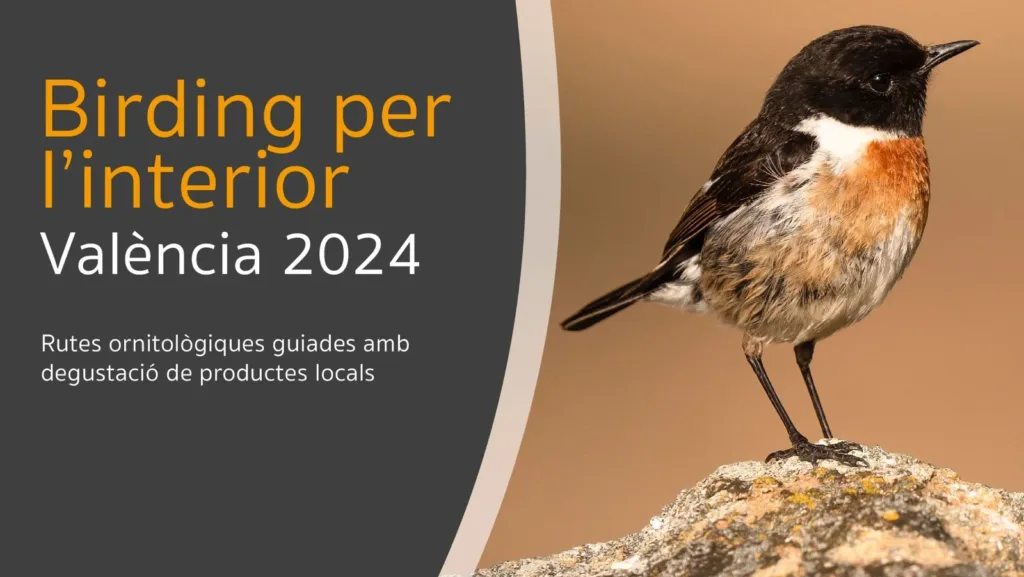 La Diputació de Valéncia impulsa el turismo de observación de aves en el interior de la provincia