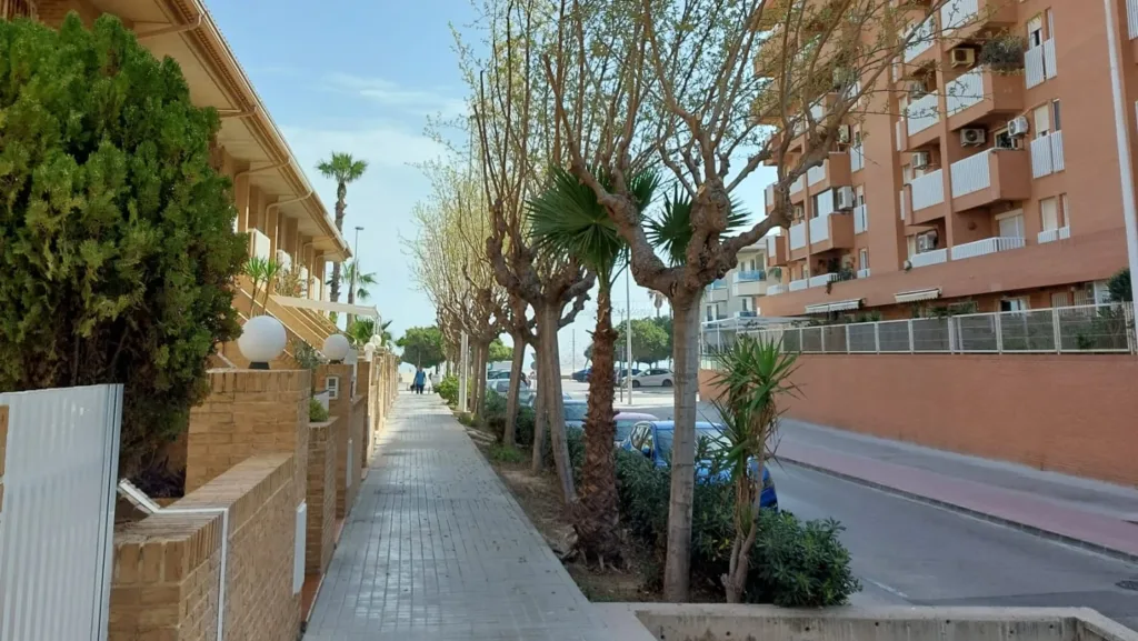 El Ayuntamiento de Alboraya aborda una serie de mejoras en La Patacona sobre jardinería y urbanismo