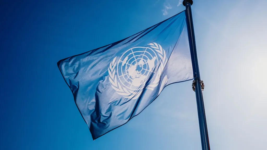 PORTADA CERMI Y BANDERA ONU