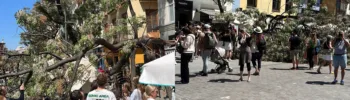 A la alcaldesa Mª José Catalá se le cae un árbol produciendo dos heridos en la Plaza del Mercado de Valencia