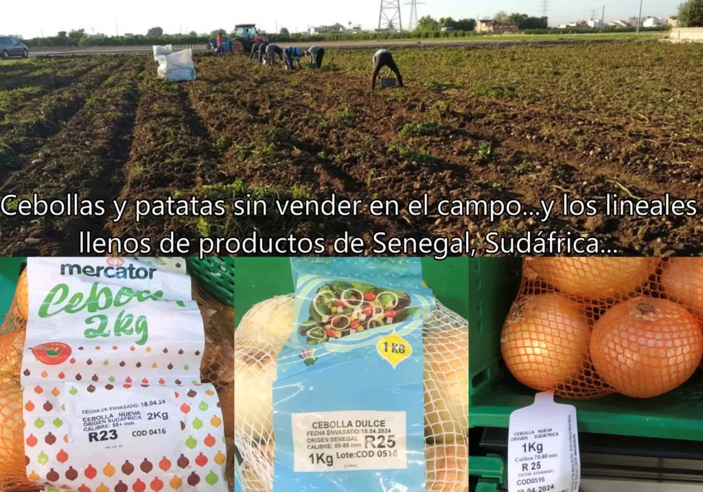Las patatas y cebollas valencianas sin vender y los lineales de supermercados repletos de productos de terceros países