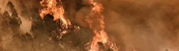 800 hectáreas calcinadas y 180 desalojados en el Incendio Forestal de Tàrbena