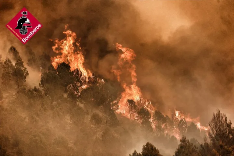 800 hectáreas calcinadas y 180 desalojados en el Incendio Forestal de Tàrbena