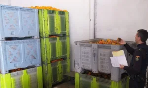 nota robos en el campo 4