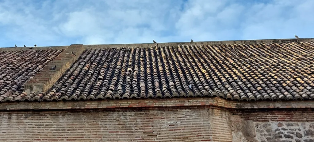 Daños en el tejado del Edificio de las Atarazanas