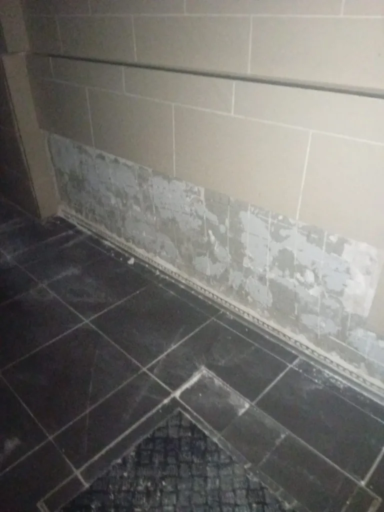 El Ayuntamiento recibe el Balneario de la Alameda en un pésimo estado de conservación 5 WhatsApp Image 2024 06 18 at 09.28.57 11zon