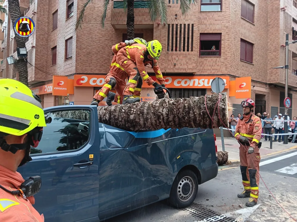 bomberos torrent 11zon