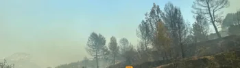 320 hectáreas calcinadas ya en el Incendio originado en Benasau con un perímetro de 14 kilómetros