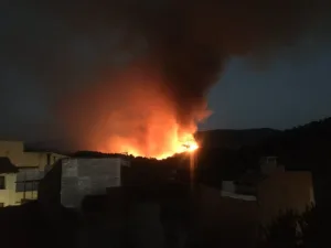 Incendio forestal benasau