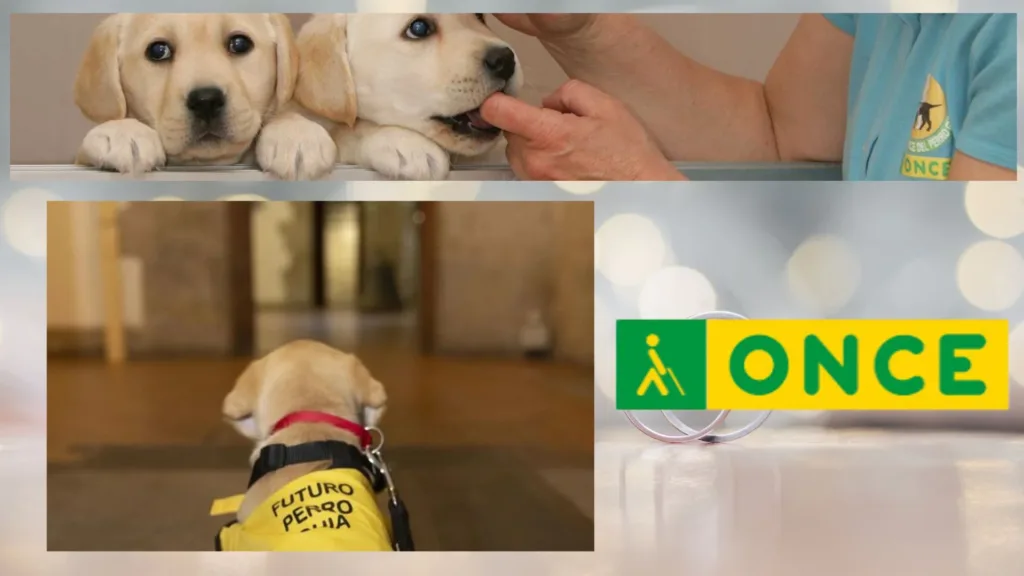 Portada ONCE perros guía