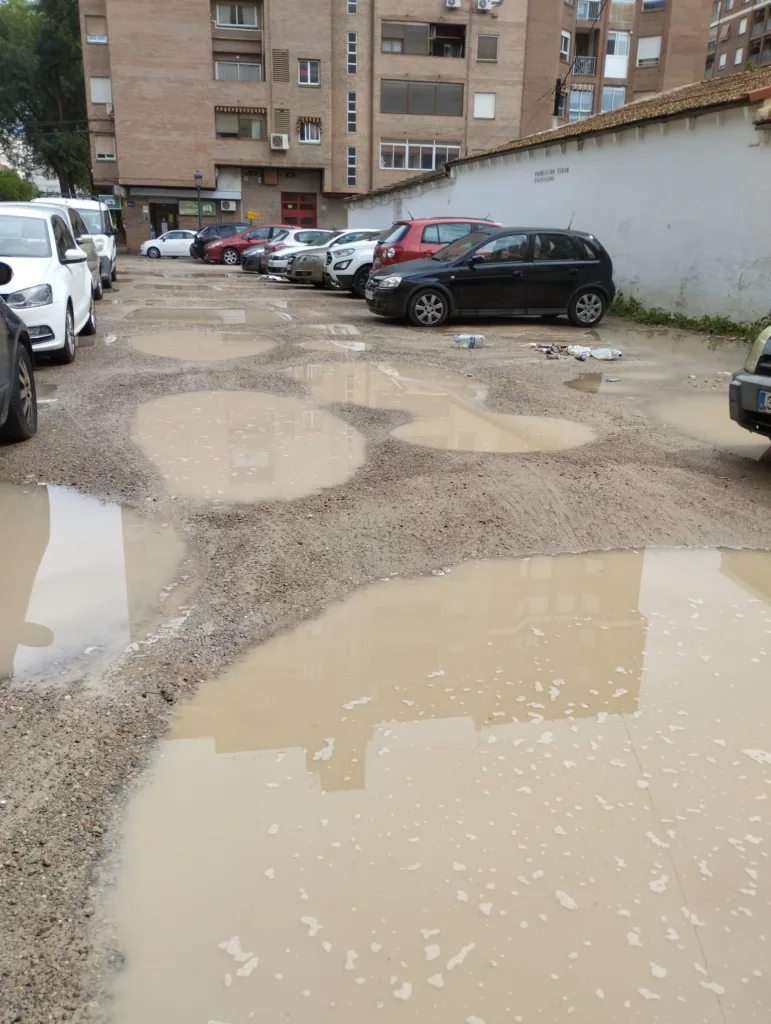 La jardinería del Barrio de San Antonio de la Zaidía fácilmente mejorable al que se une la falta de limpieza 19 WhatsApp Image 2024 07 04 at 13.58.39 11zon