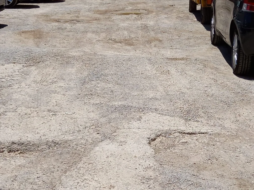 La jardinería del Barrio de San Antonio de la Zaidía fácilmente mejorable al que se une la falta de limpieza 18 WhatsApp Image 2024 07 05 at 20.46.532 11zon