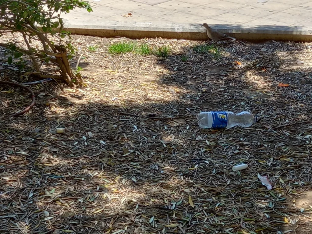 La jardinería del Barrio de San Antonio de la Zaidía fácilmente mejorable al que se une la falta de limpieza 9 WhatsApp Image 2024 07 05 at 20.46.54 11zon