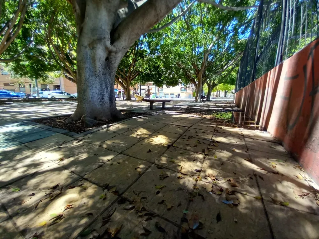 La jardinería del Barrio de San Antonio de la Zaidía fácilmente mejorable al que se une la falta de limpieza 5 WhatsApp Image 2024 07 05 at 20.47.00 11zon