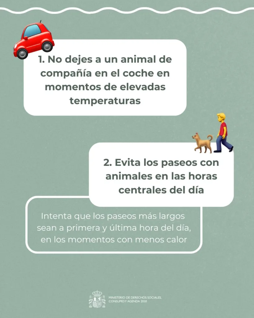 consejos animales 1