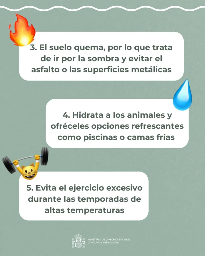 consejos animales 2