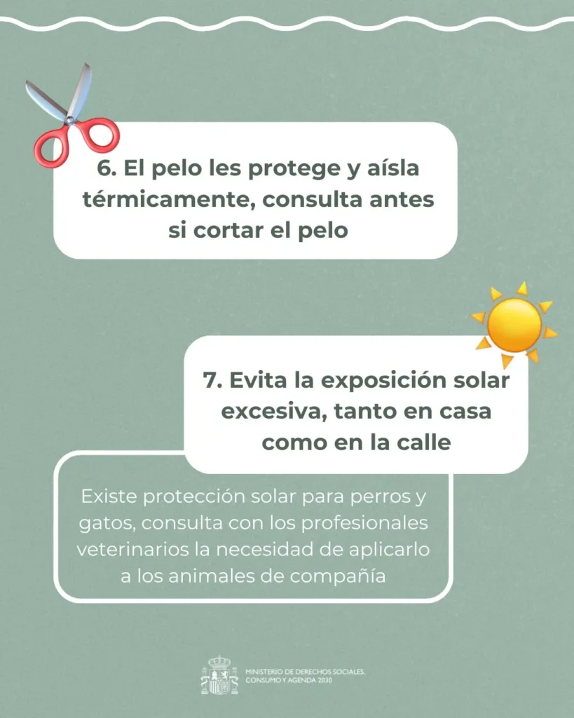 consejos animales 3