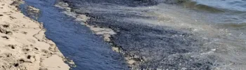 Desastre medioambiental en las playas del Saler, con un gran vertido de hidrocarburos