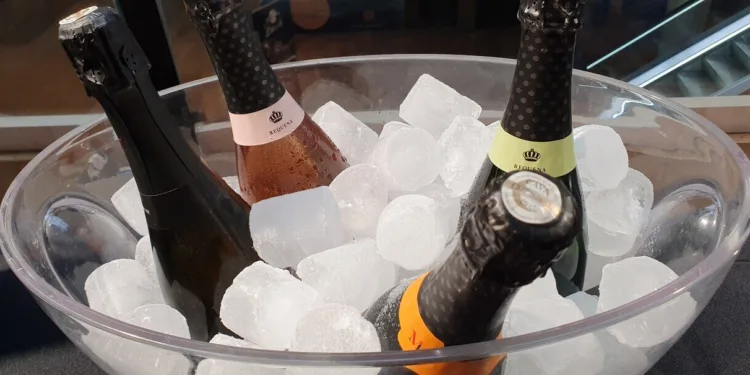 Requena Celebra los Días Grandes de la Vendimia: 75 Años de Historia y Tradición