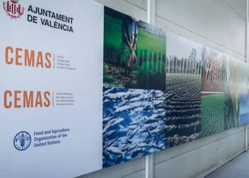 Sede del Cemas en la dársena histórica del Puerto de Valencia