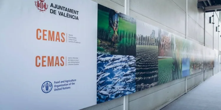 Sede del Cemas en la dársena histórica del Puerto de Valencia