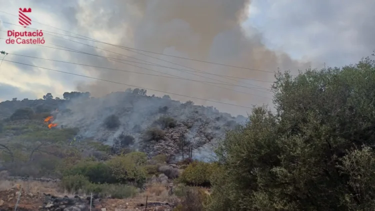4 medios aéreos luchan contra un Incendio Forestal en Oropesa