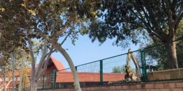 Inicio obras de urgéncia CEIP Enric Valor i Vives de Manises