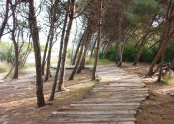 El edil de la Devesa-Albufera pondrá en marcha un itinerario paisajístico en El Saler en 2025 2 Devesa Albufera