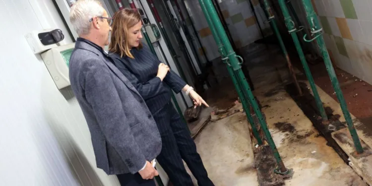 El Ayuntamiento de Valencia retoma las obras de mejora del mercado de Rojas Clemente 1 Catalá visita zona inferior Mercado de Rojas Clemente dañado y sujeto techo por vigas